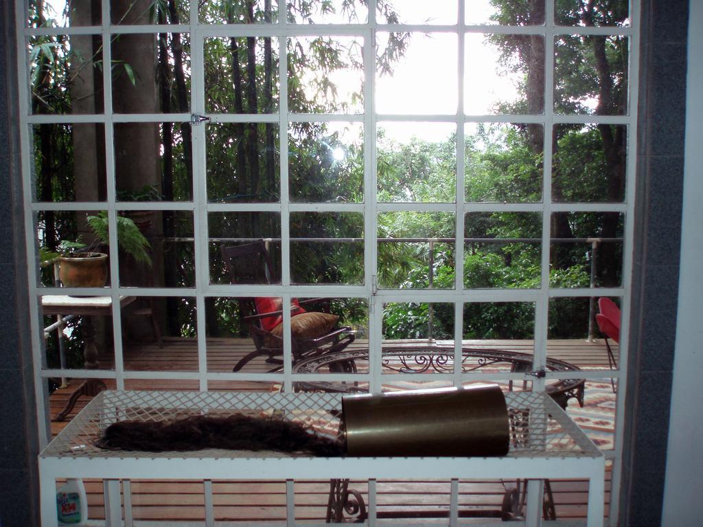 B&B Vitoria Regia Rio de Janeiro Room photo